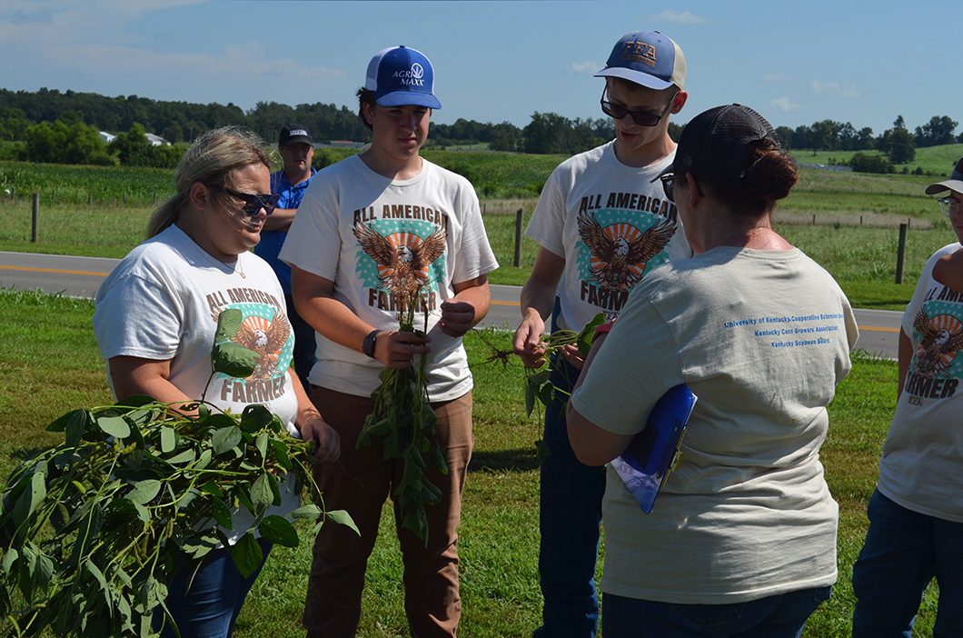 looking at soybeans - crop scouting competition